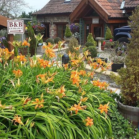 Bridge Farm Guesthouse Rooms Dundry المظهر الخارجي الصورة
