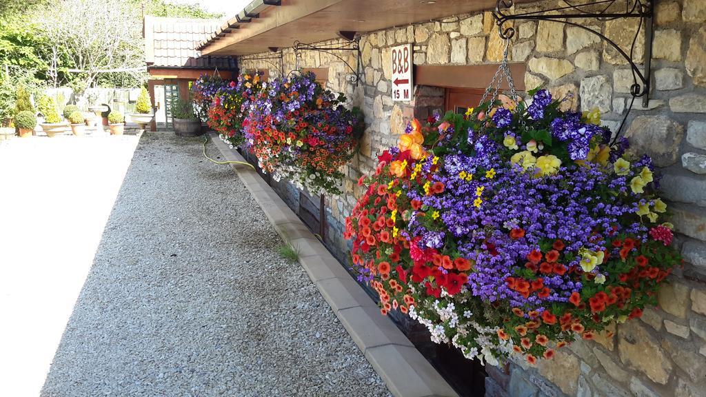 Bridge Farm Guesthouse Rooms Dundry المظهر الخارجي الصورة