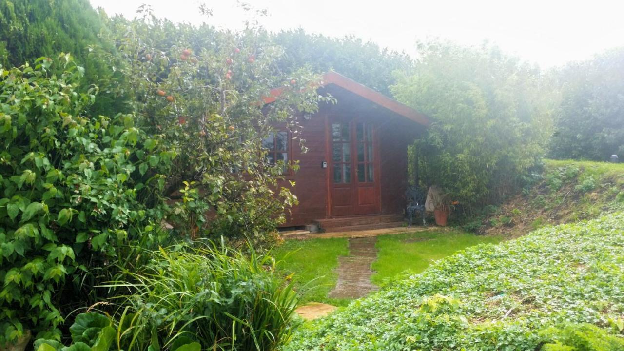 Bridge Farm Guesthouse Rooms Dundry المظهر الخارجي الصورة
